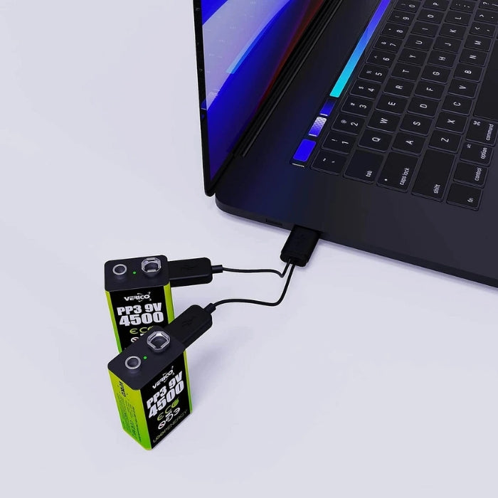 LoopEnergy 9V Rechargeable Battery 2-Pack with USB-C Cable